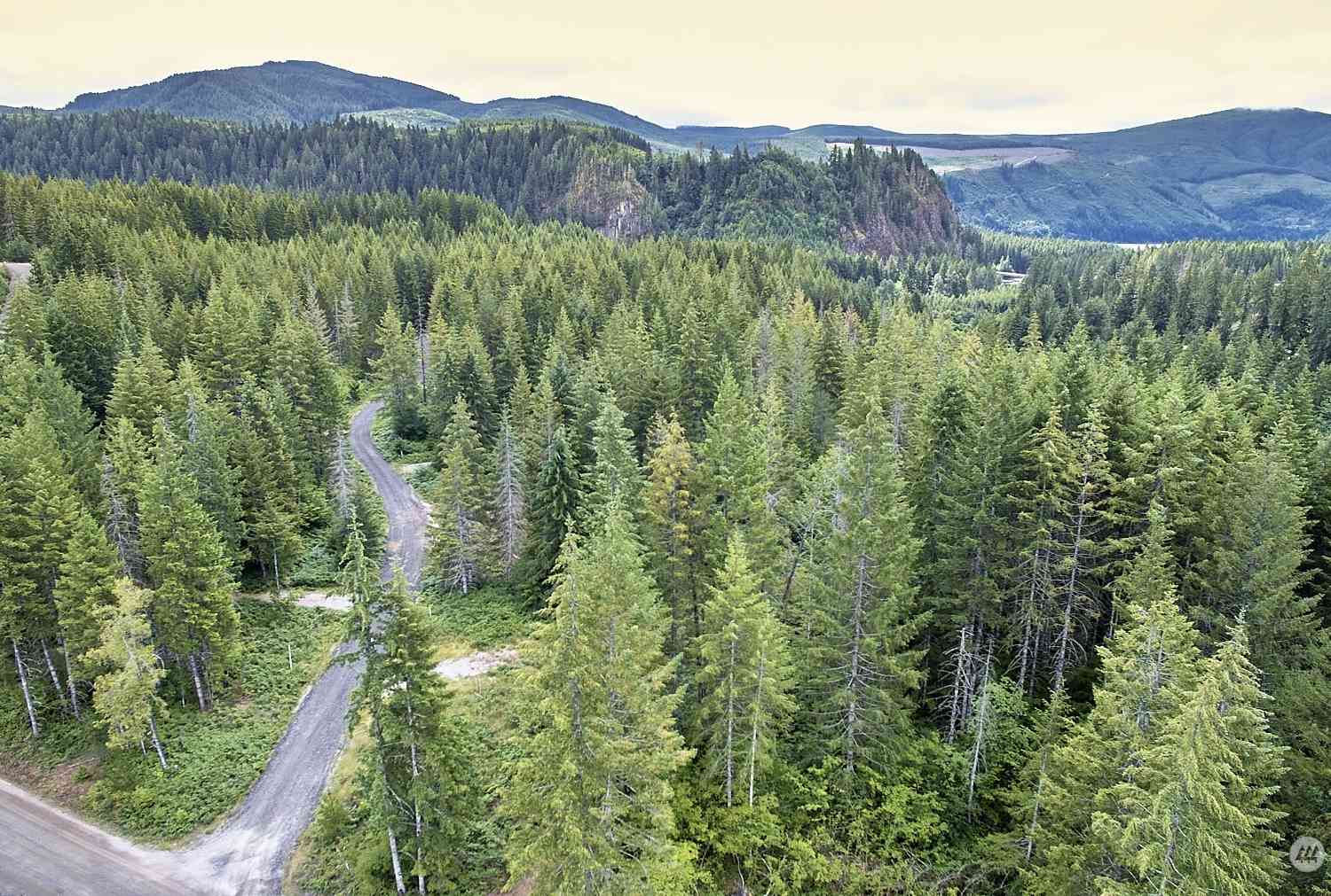 1 Lahar Lane, Cougar, Washington image 6