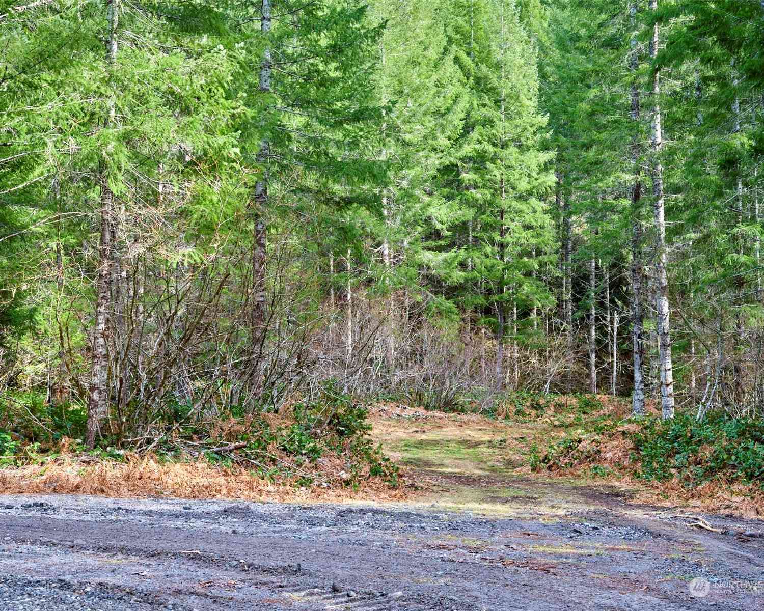 3 Lahar Lane, Cougar, Washington image 6