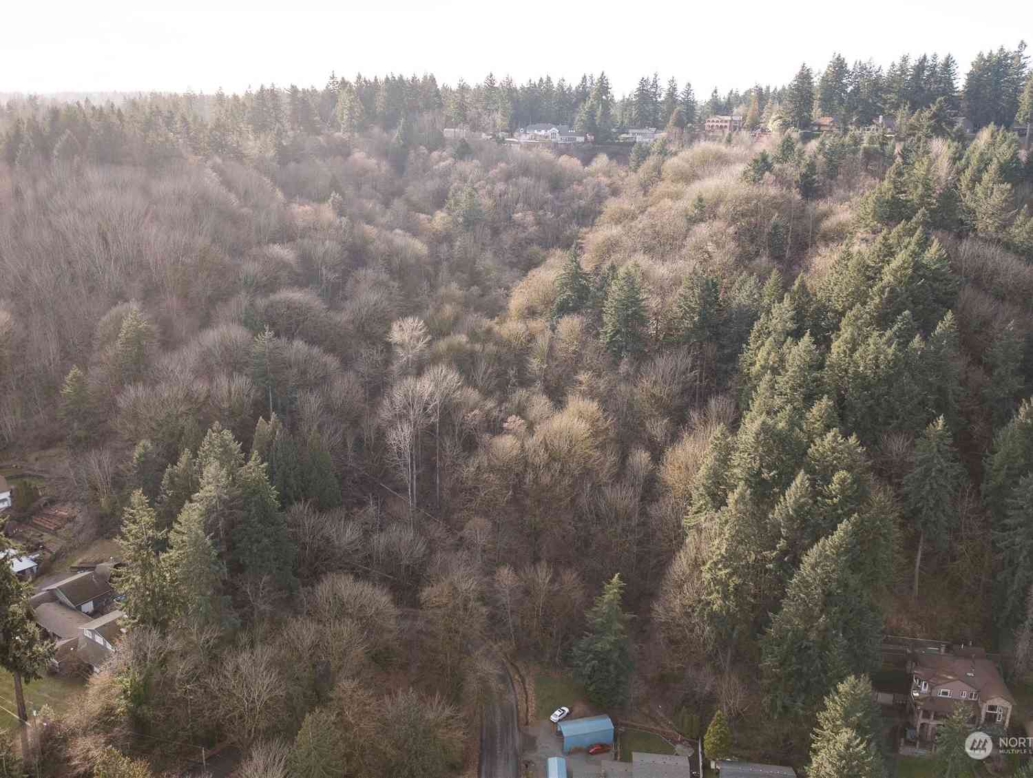 532 Hi Crest Drive, Auburn, Washington image 1