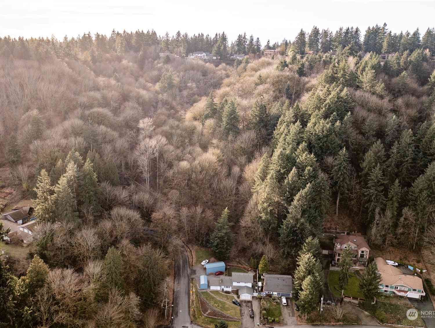 532 Hi Crest Drive, Auburn, Washington image 6