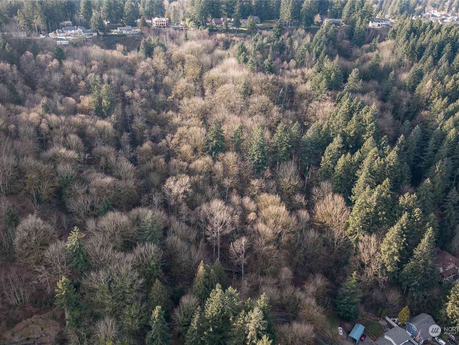 532 Hi Crest Drive, Auburn, Washington image 2