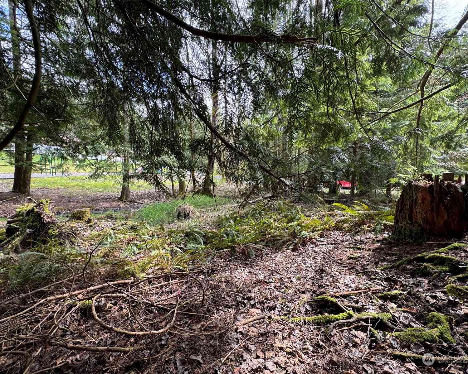 8 Huckleberry Court, Bellingham, Washington image 4