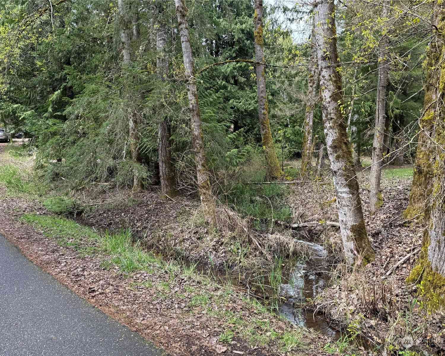 8 Huckleberry Court, Bellingham, Washington image 3