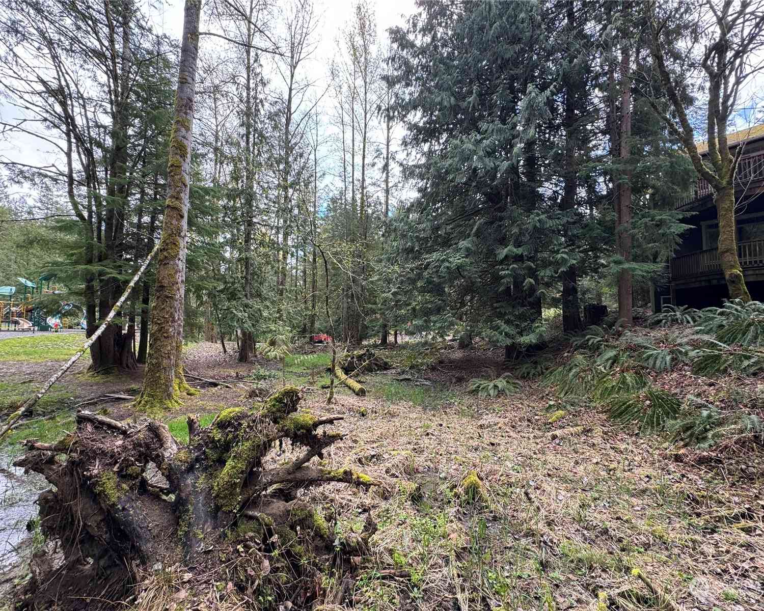 8 Huckleberry Court, Bellingham, Washington image 5