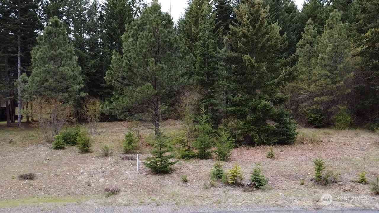 3070 Jenkins Drive, Cle Elum, Washington image 2