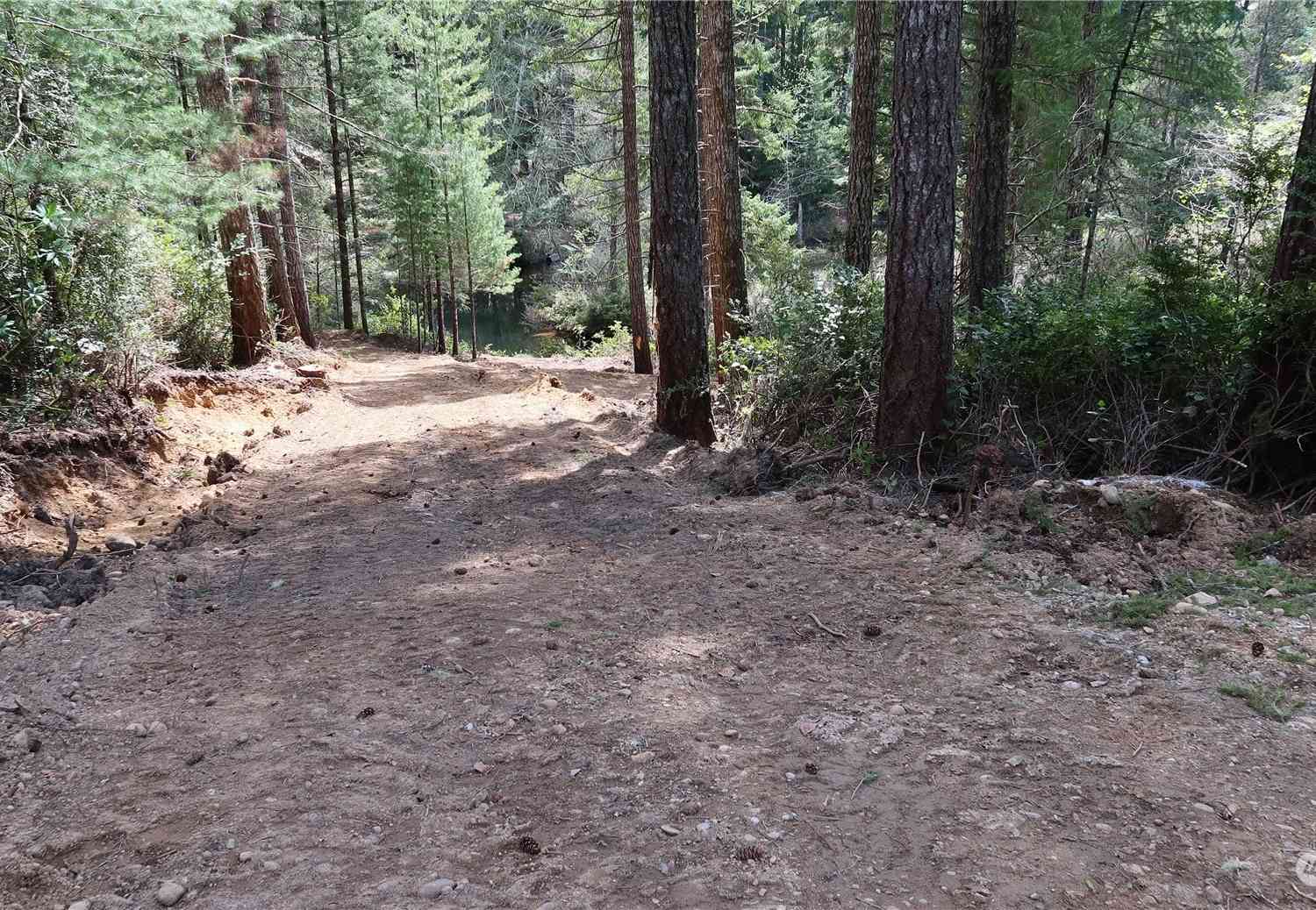 0 Lot 10 NE Lakeview Pl, Tahuya, Washington image 17