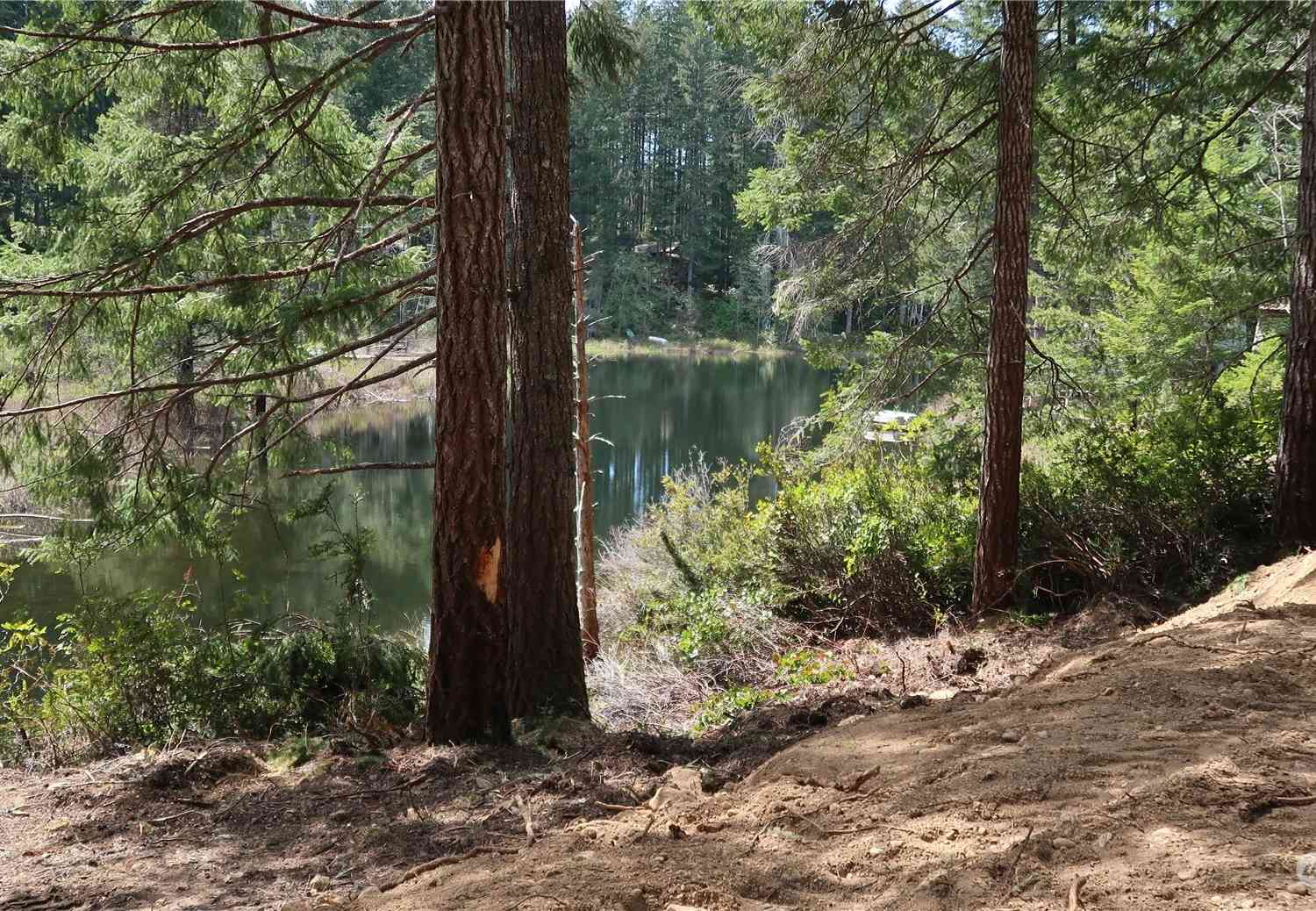 0 Lot 10 NE Lakeview Pl, Tahuya, Washington image 32