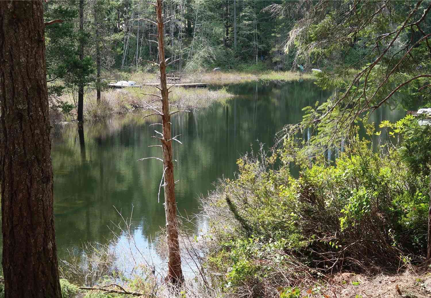 0 Lot 10 NE Lakeview Pl, Tahuya, Washington image 16