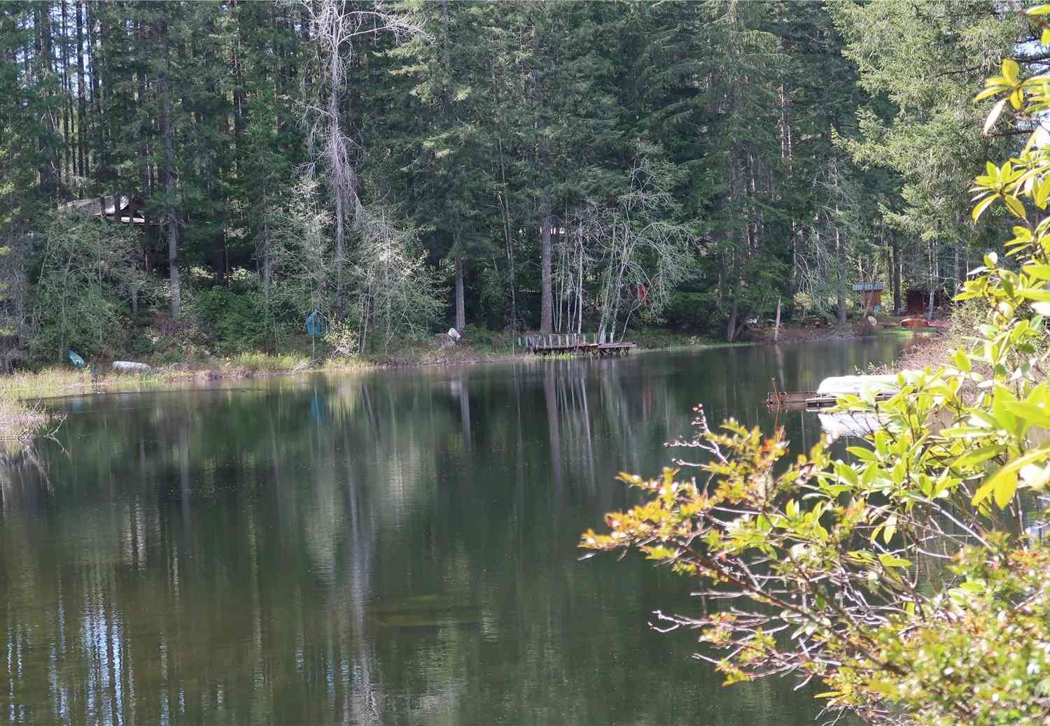 0 Lot 10 NE Lakeview Pl, Tahuya, Washington image 2