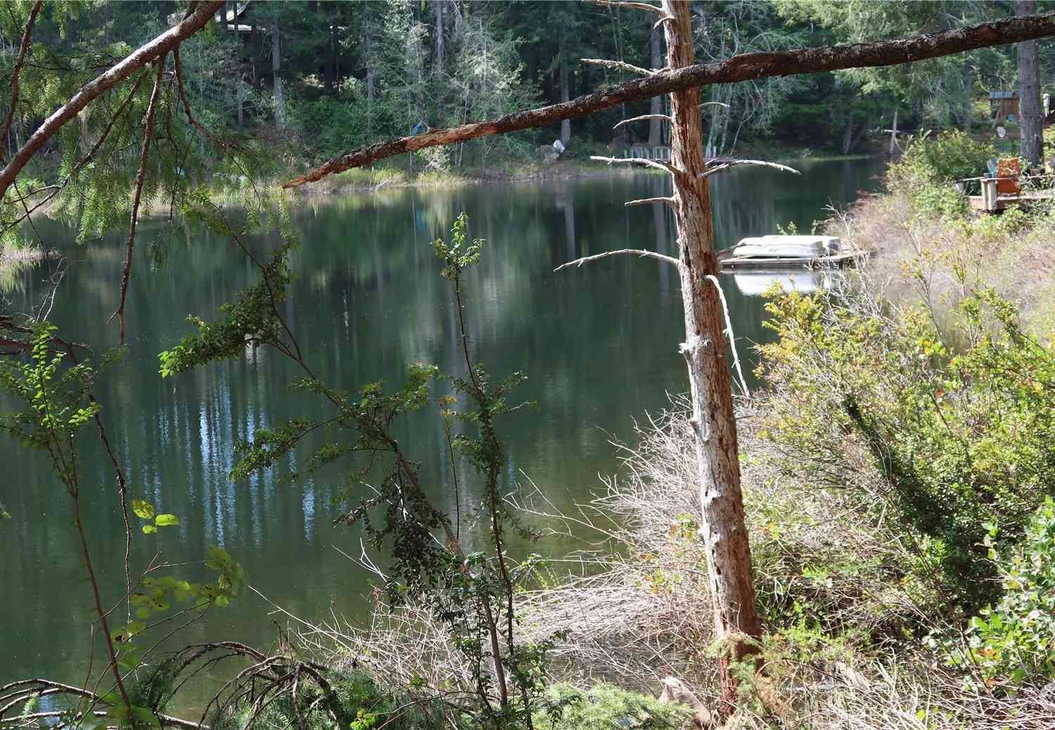 0 Lot 10 NE Lakeview Pl, Tahuya, Washington image 4