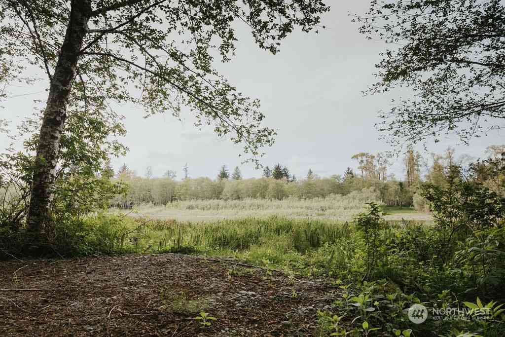 Treichel Lane, Forks, Washington image 22