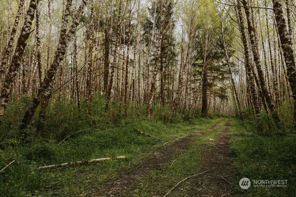 Treichel Lane, Forks, Washington image 21