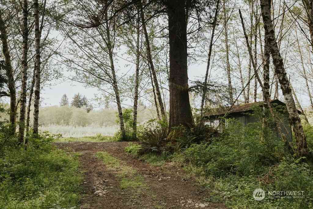 Treichel Lane, Forks, Washington image 19