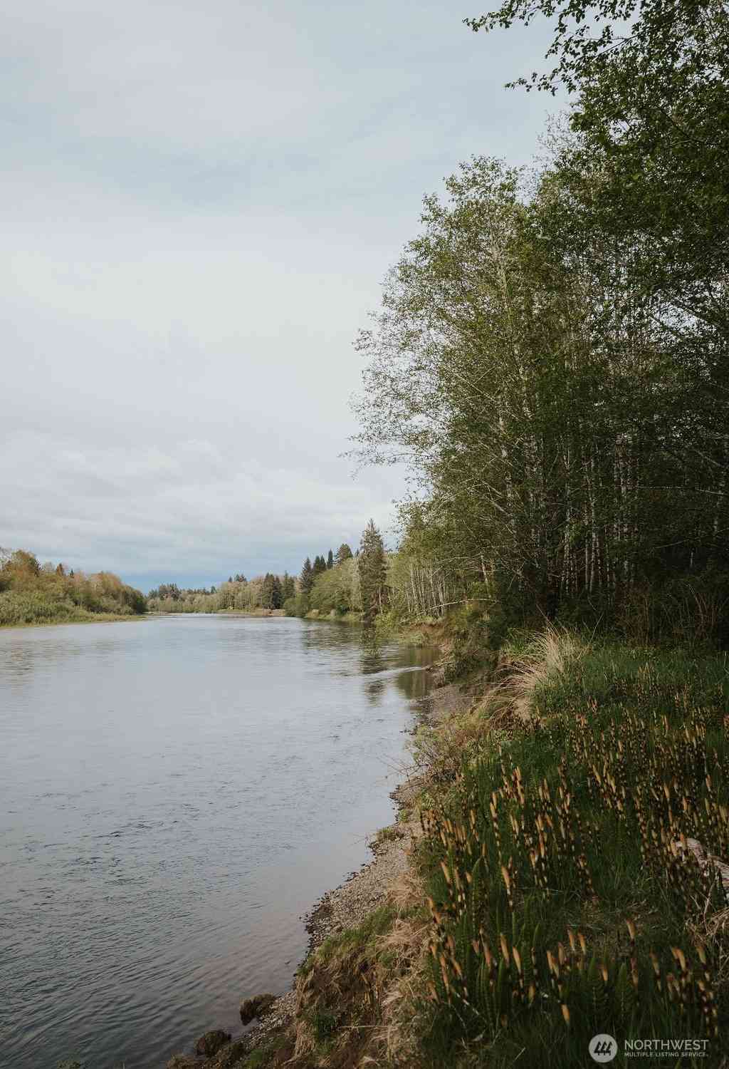 Treichel Lane, Forks, Washington image 26