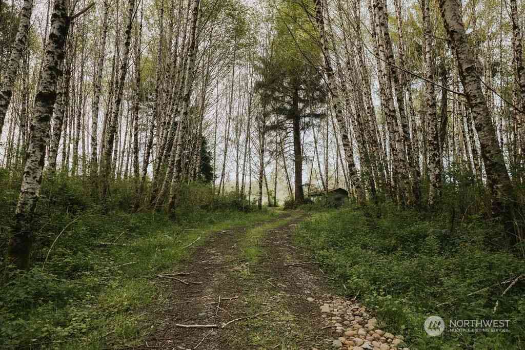 Treichel Lane, Forks, Washington image 15