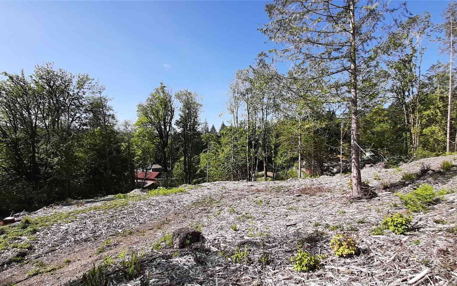 131 NE Wj Way, Belfair, Washington image 1