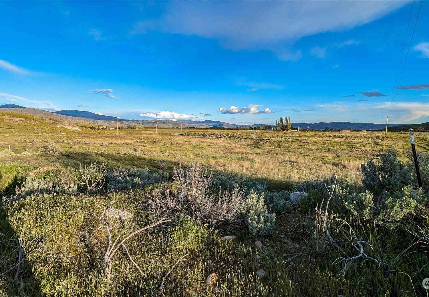255 Riverside Cuttoff Road, Riverside, Washington image 24