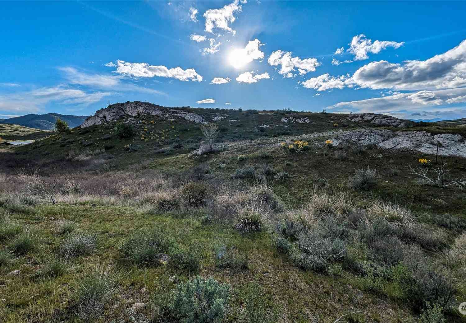 255 Riverside Cuttoff Road, Riverside, Washington image 9