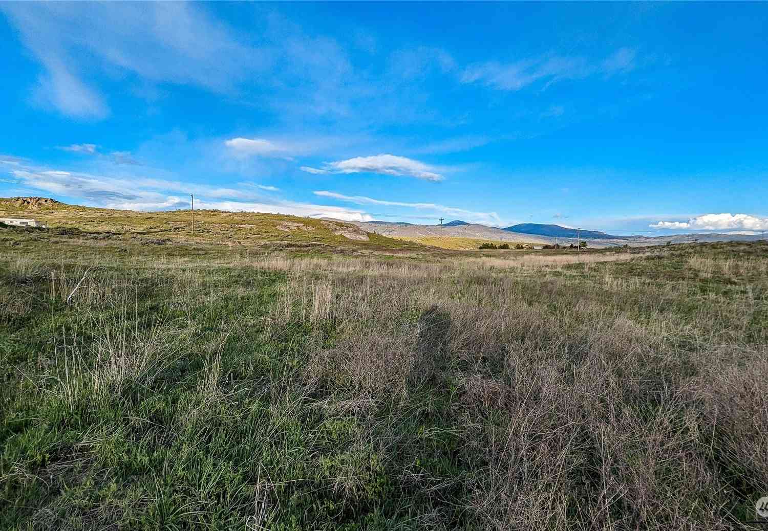 255 Riverside Cuttoff Road, Riverside, Washington image 23