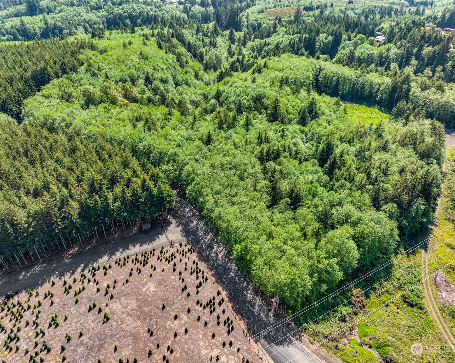 Timberview Lane, Montesano, Washington image 1