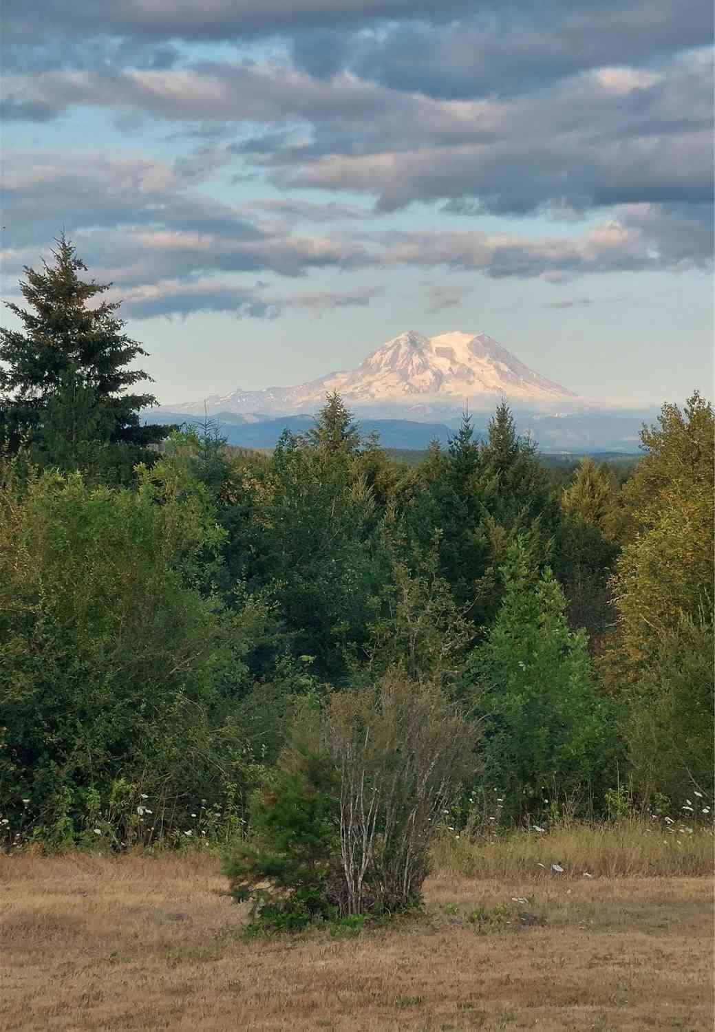 15606 Bald Hill Road, Yelm, Washington image 38