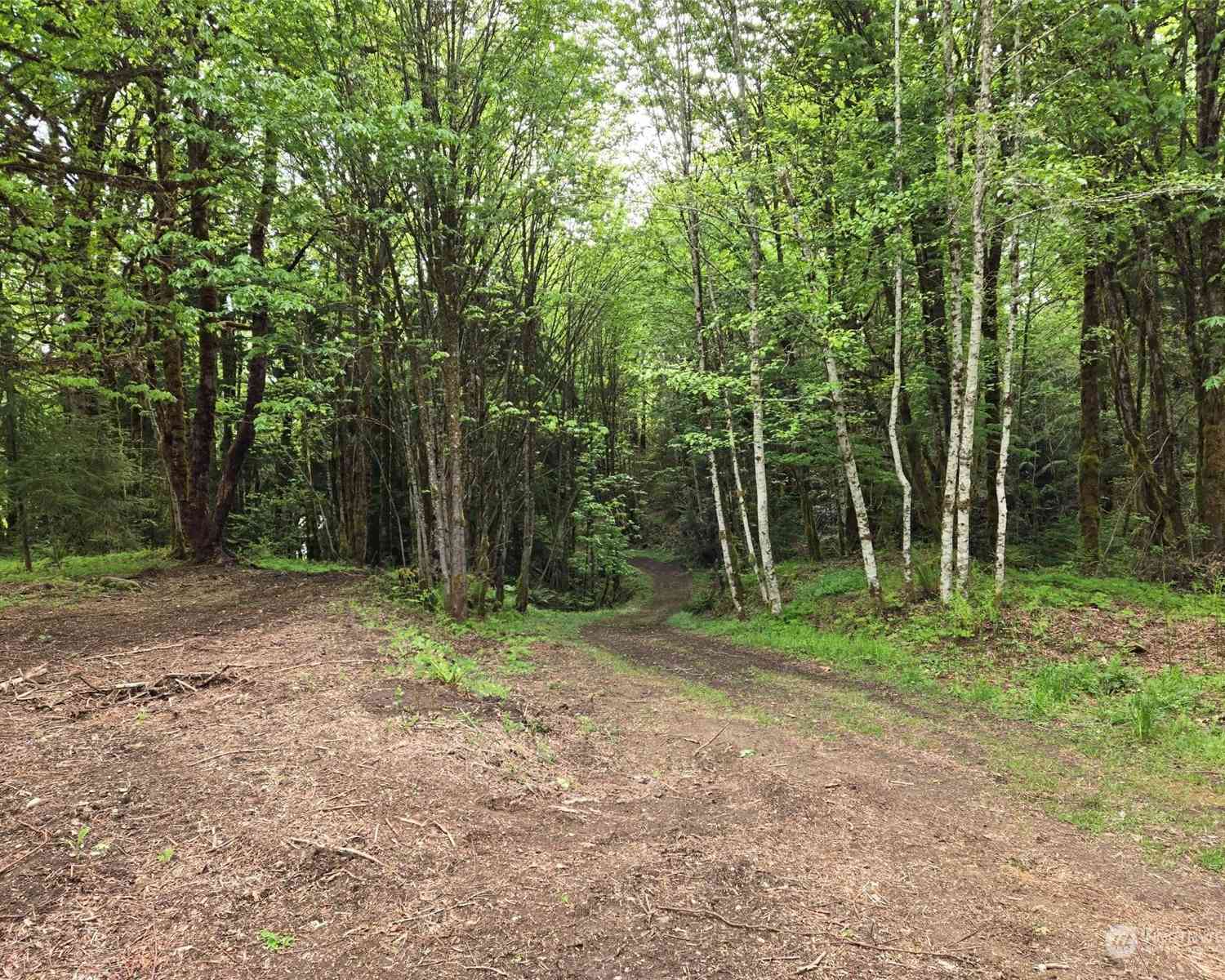 961 E Rasor Road, Belfair, Washington image 2