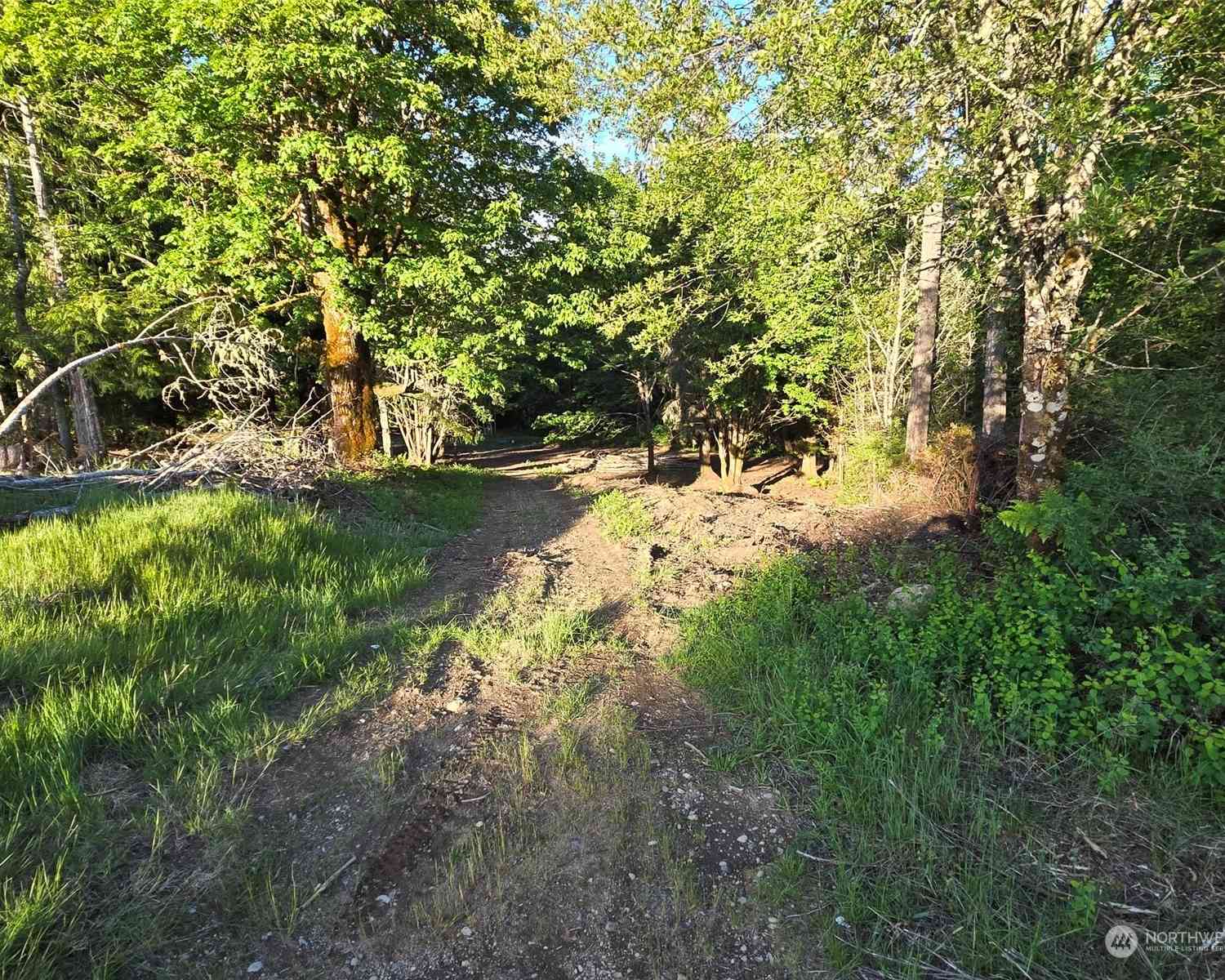 961 E Rasor Road, Belfair, Washington image 12