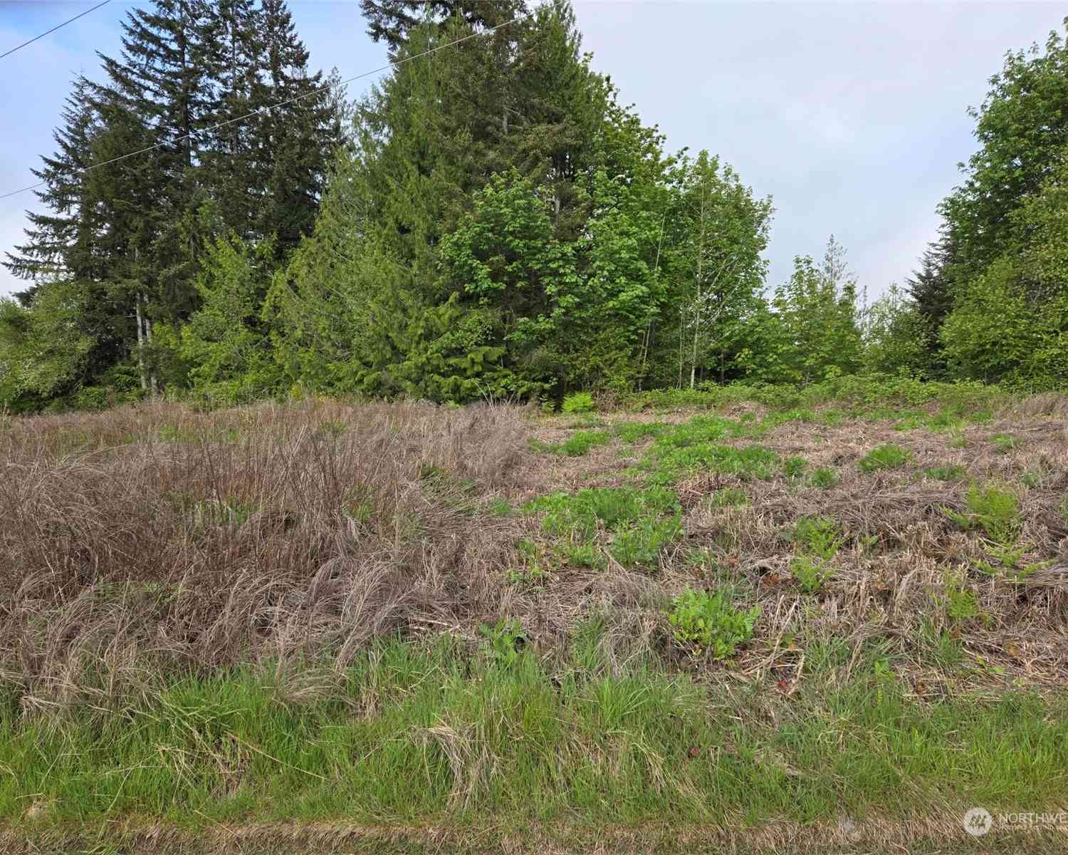 961 E Rasor Road, Belfair, Washington image 8