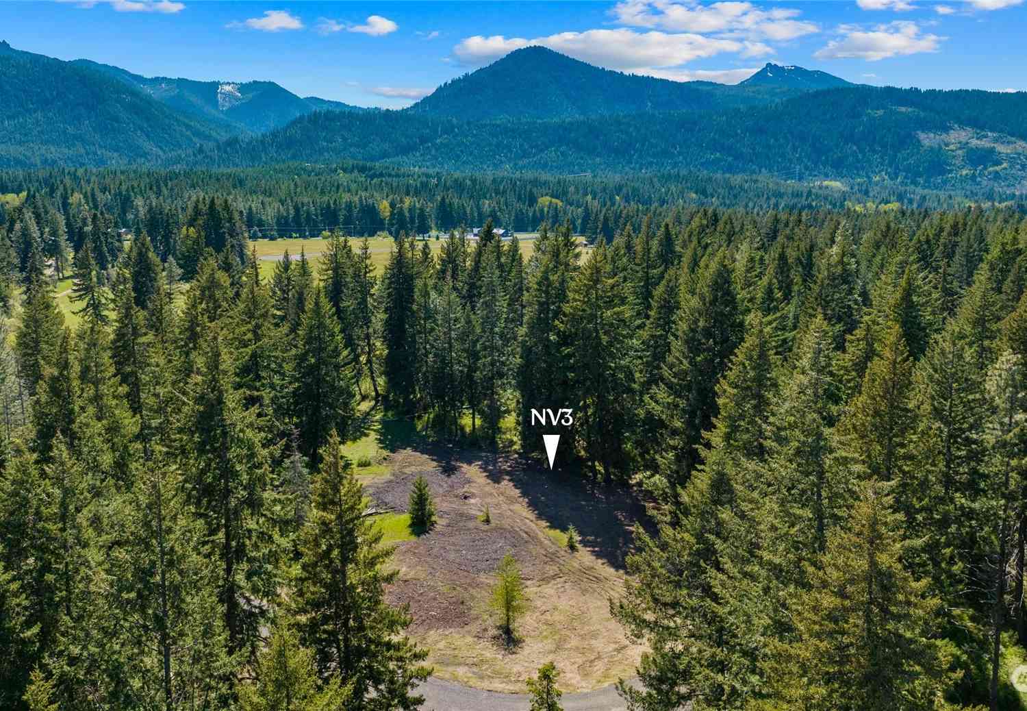 0 NVLot 3 Nelson View Way, Cle Elum, Washington image 36