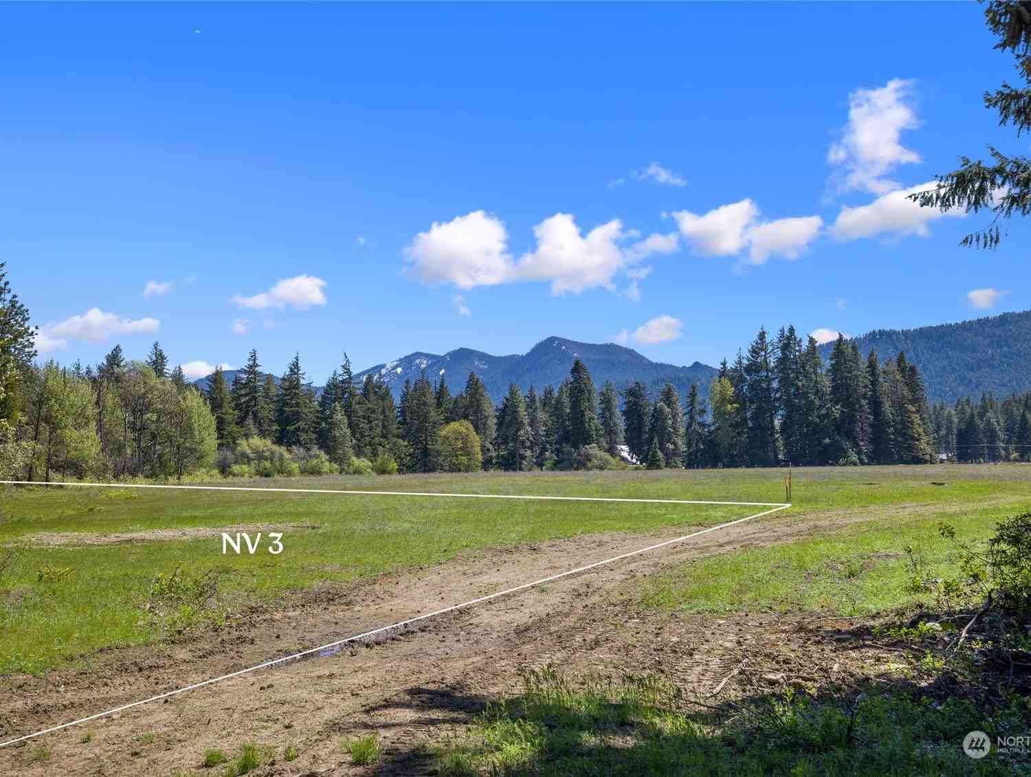 0 NVLot 3 Nelson View Way, Cle Elum, Washington image 15