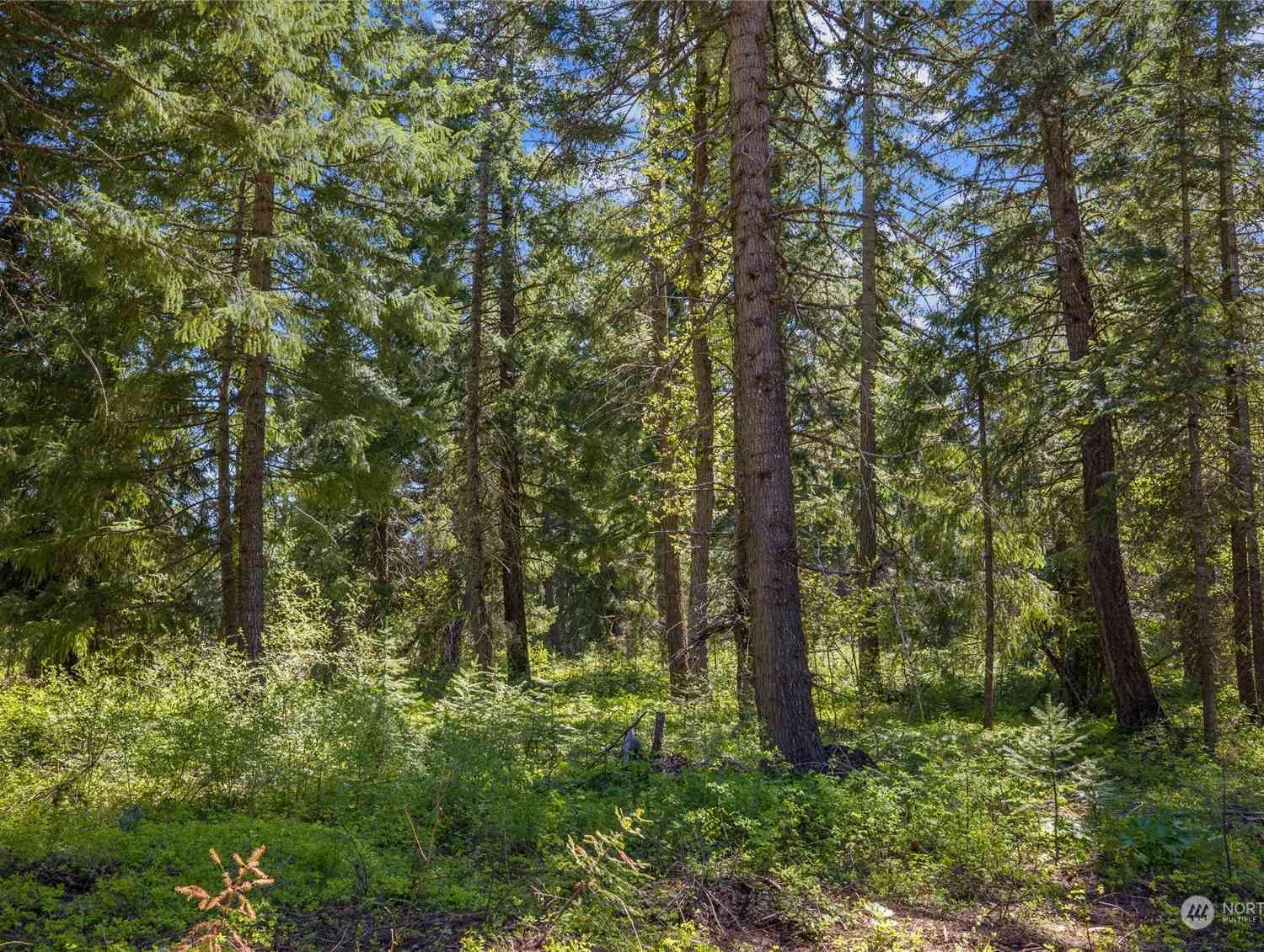 0 NVLot 3 Nelson View Way, Cle Elum, Washington image 34