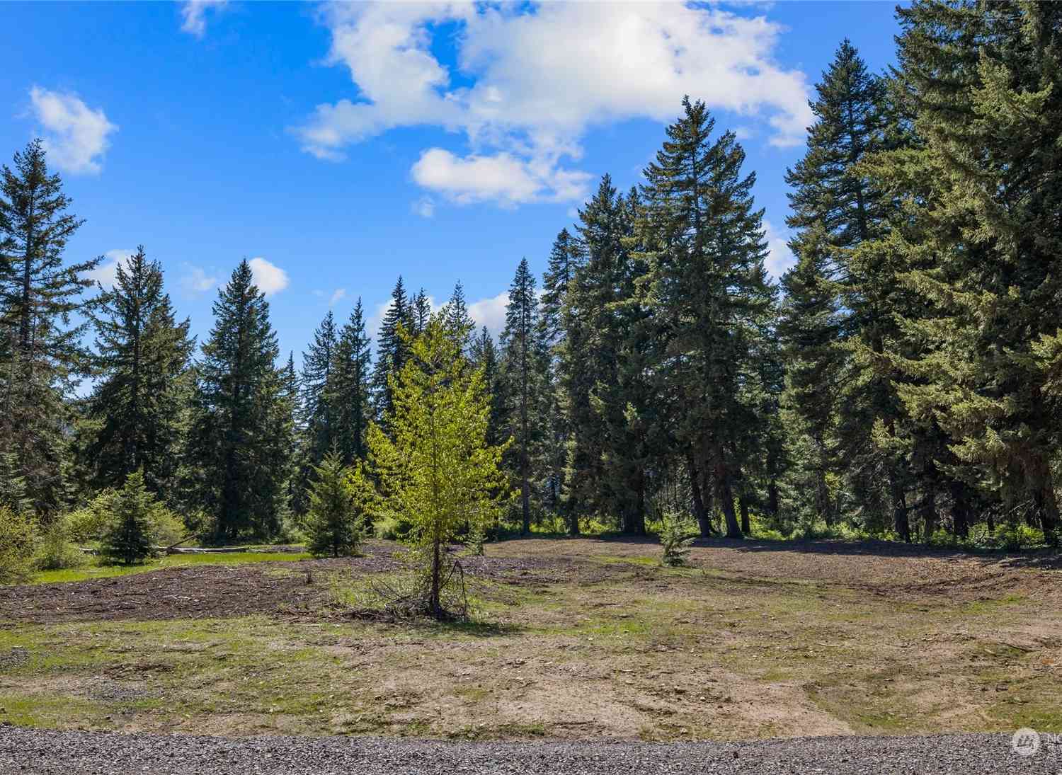 0 NVLot 3 Nelson View Way, Cle Elum, Washington image 29