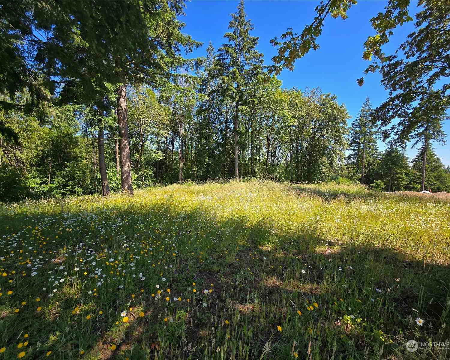 Olivia Lane, Kalama, Washington image 11