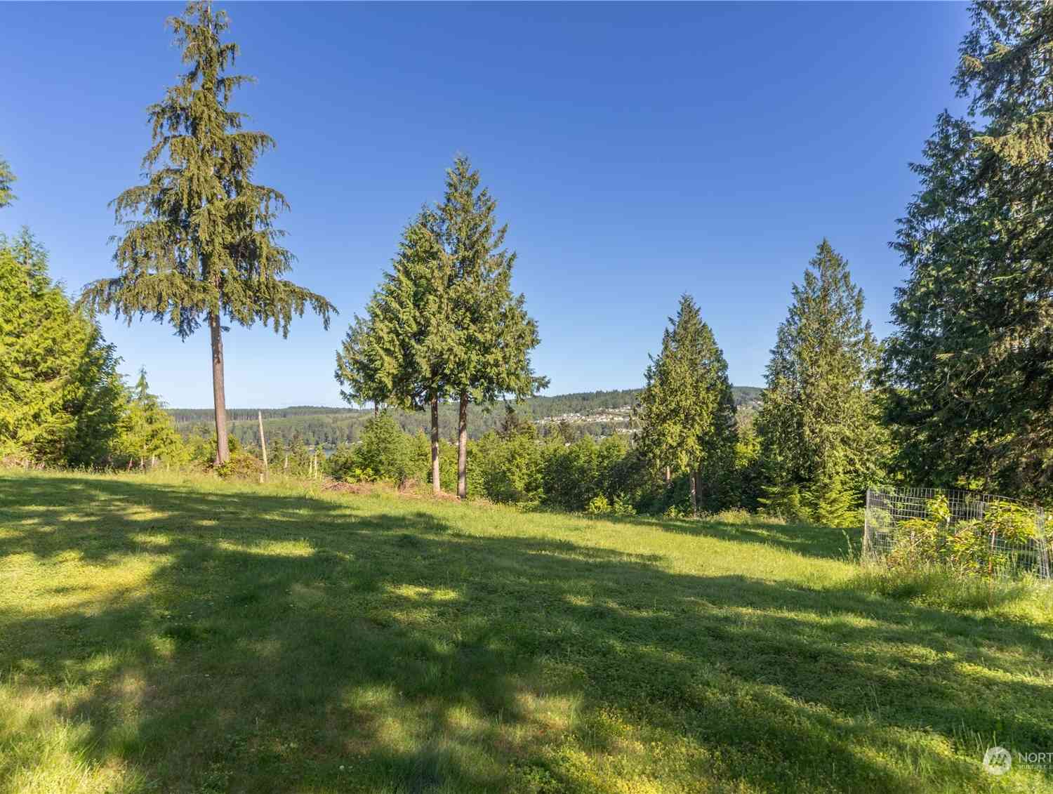 107 Wells Ridge Court, Port Ludlow, Washington image 1