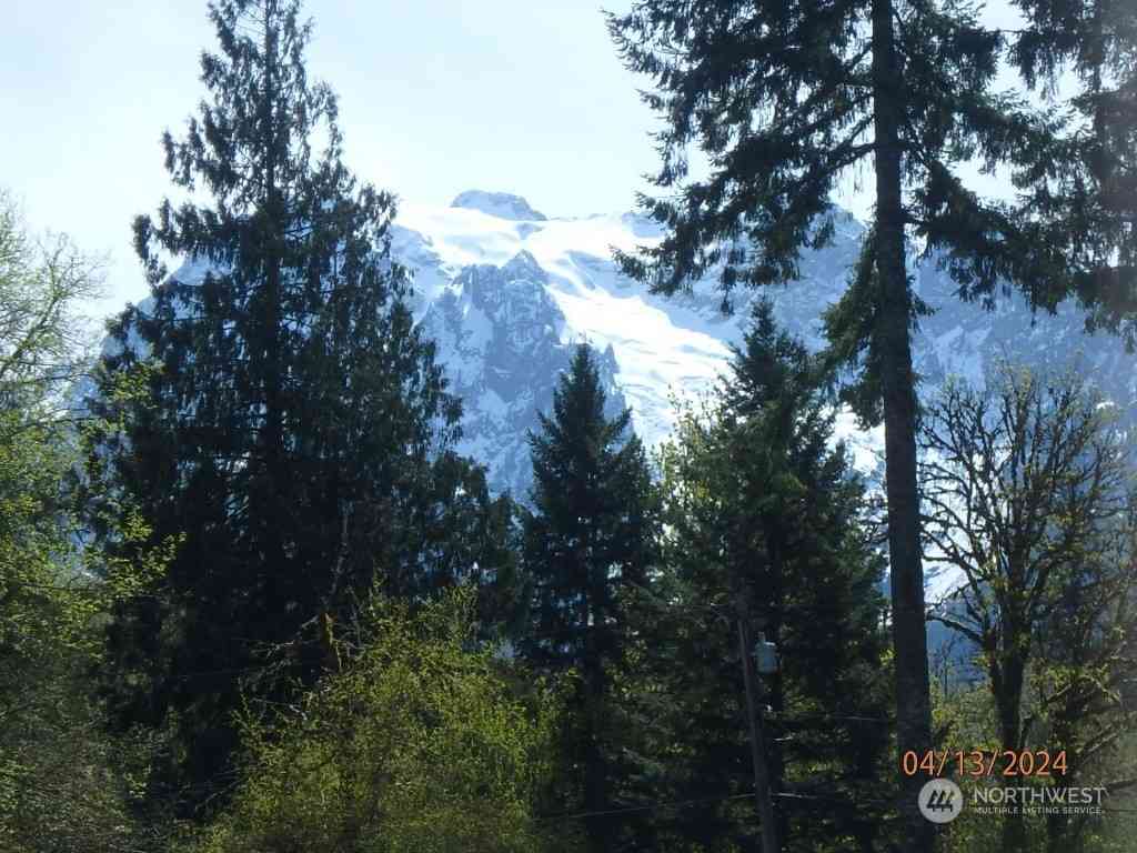 31015 W Whitehorse Drive, Arlington, Washington image 10