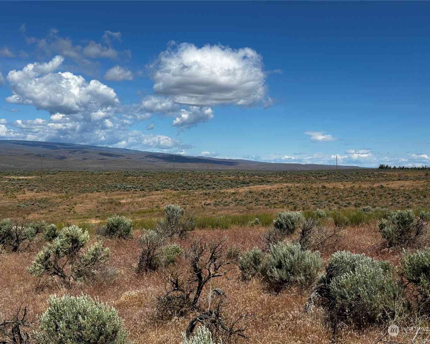 23293 Sage Loop #LOT 3, Quincy, Washington image 1