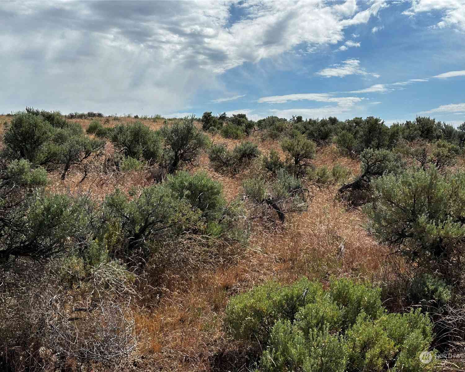 23293 Sage Loop #LOT 3, Quincy, Washington image 3