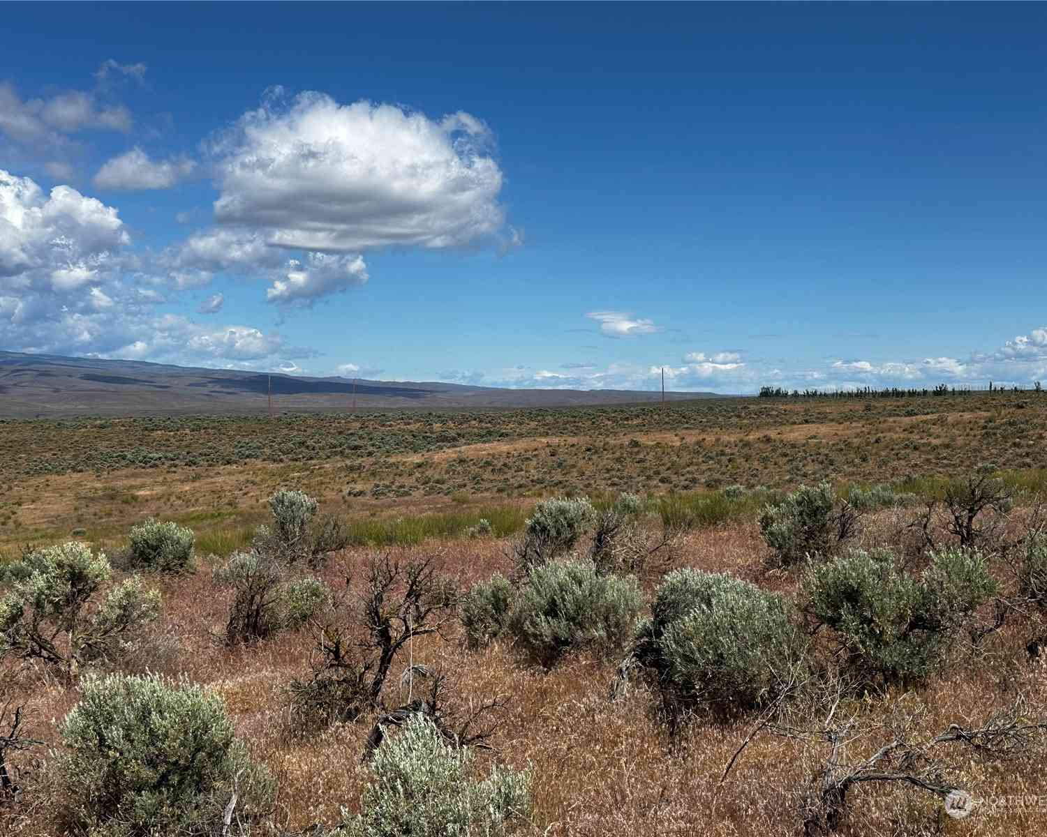 23293 Sage Loop #LOT 3, Quincy, Washington image 4