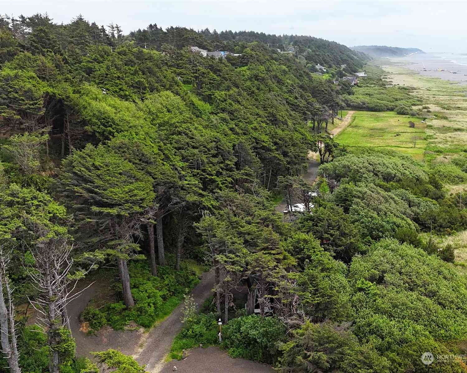 Beach Lane, Moclips, Washington image 1