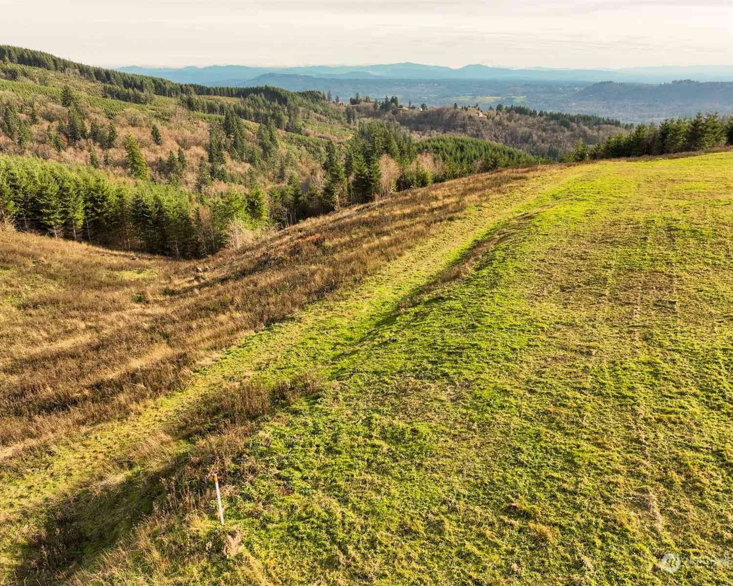 Cascadia Lane, Kalama, Washington image 6