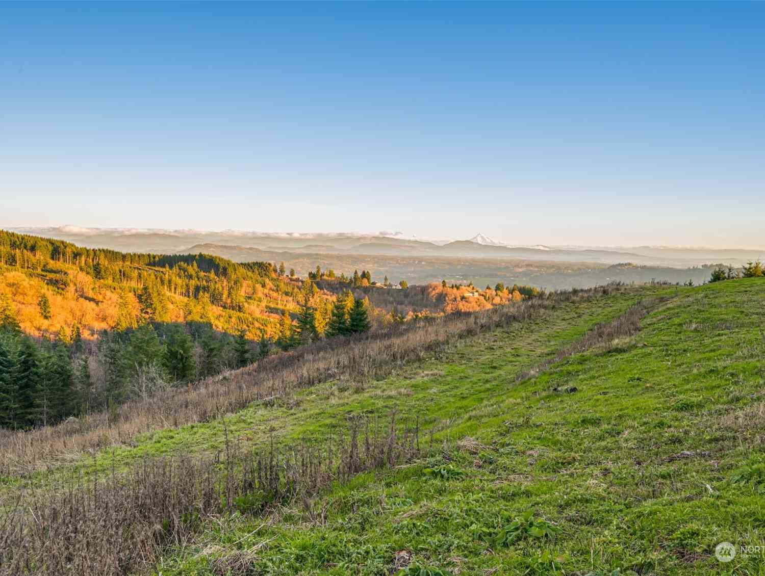 Cascadia Lane, Kalama, Washington image 2