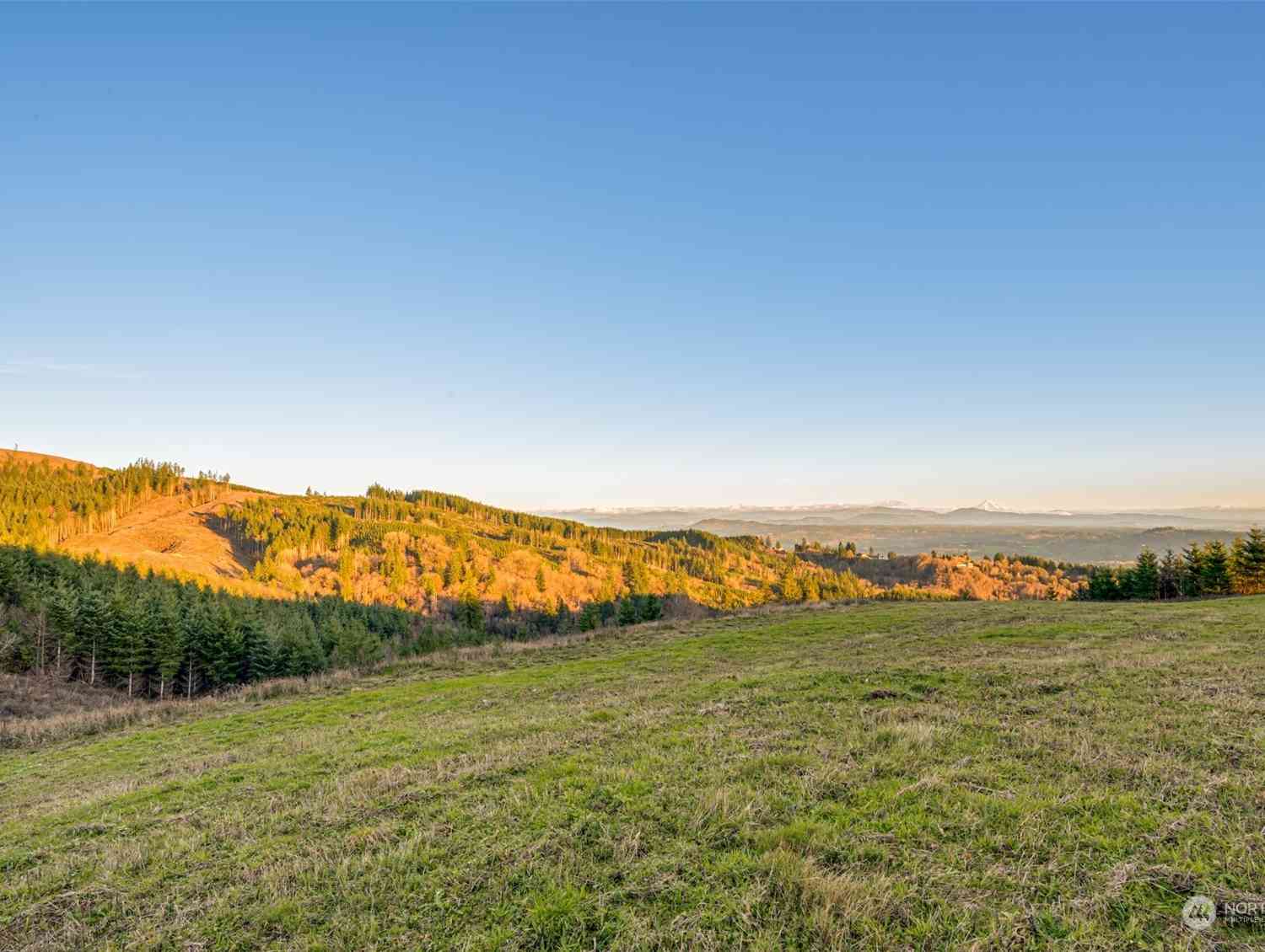 Cascadia Lane, Kalama, Washington image 3