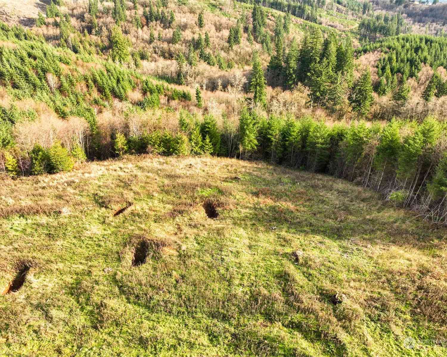 Cascadia Lane, Kalama, Washington image 9