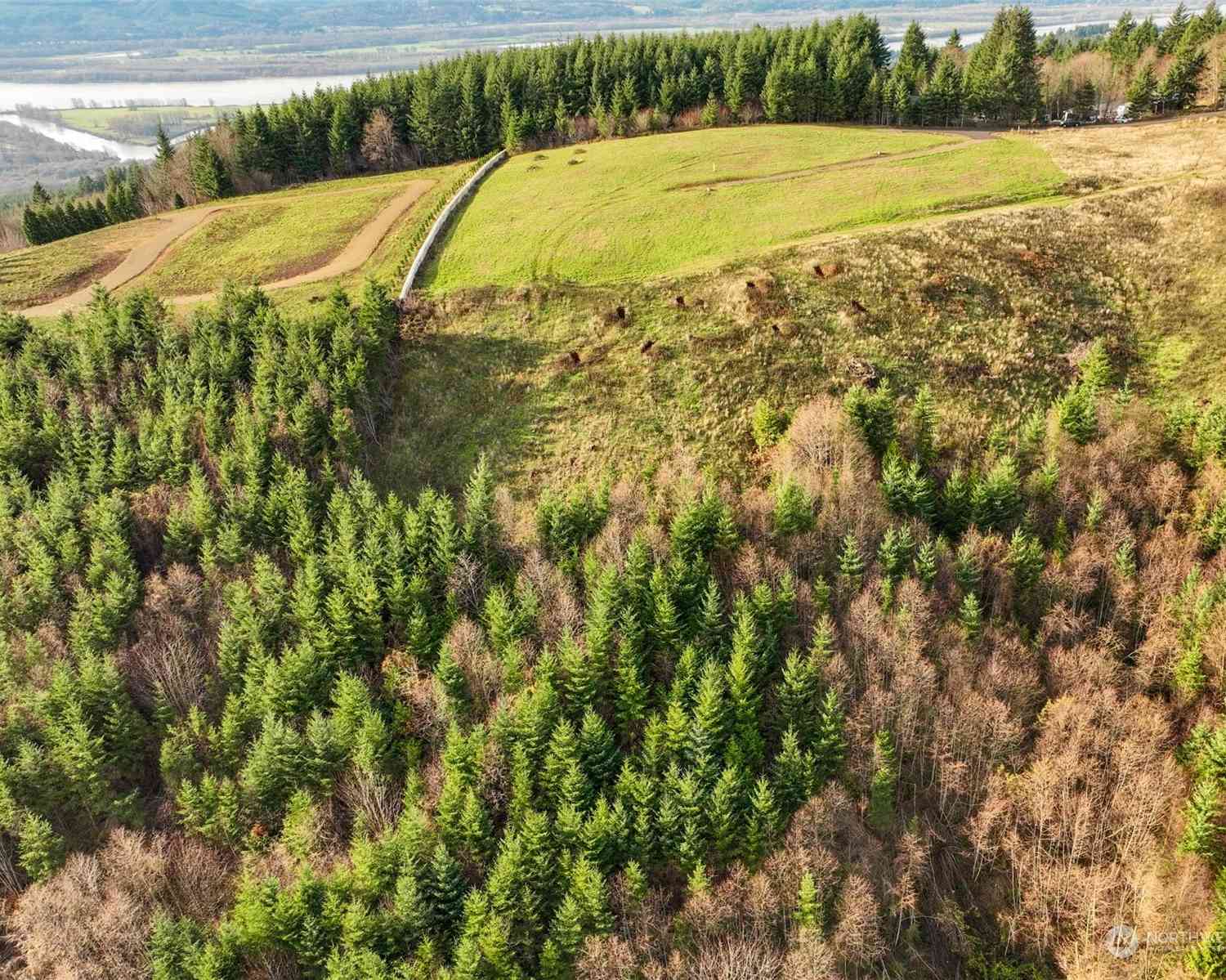 Cascadia Lane, Kalama, Washington image 10