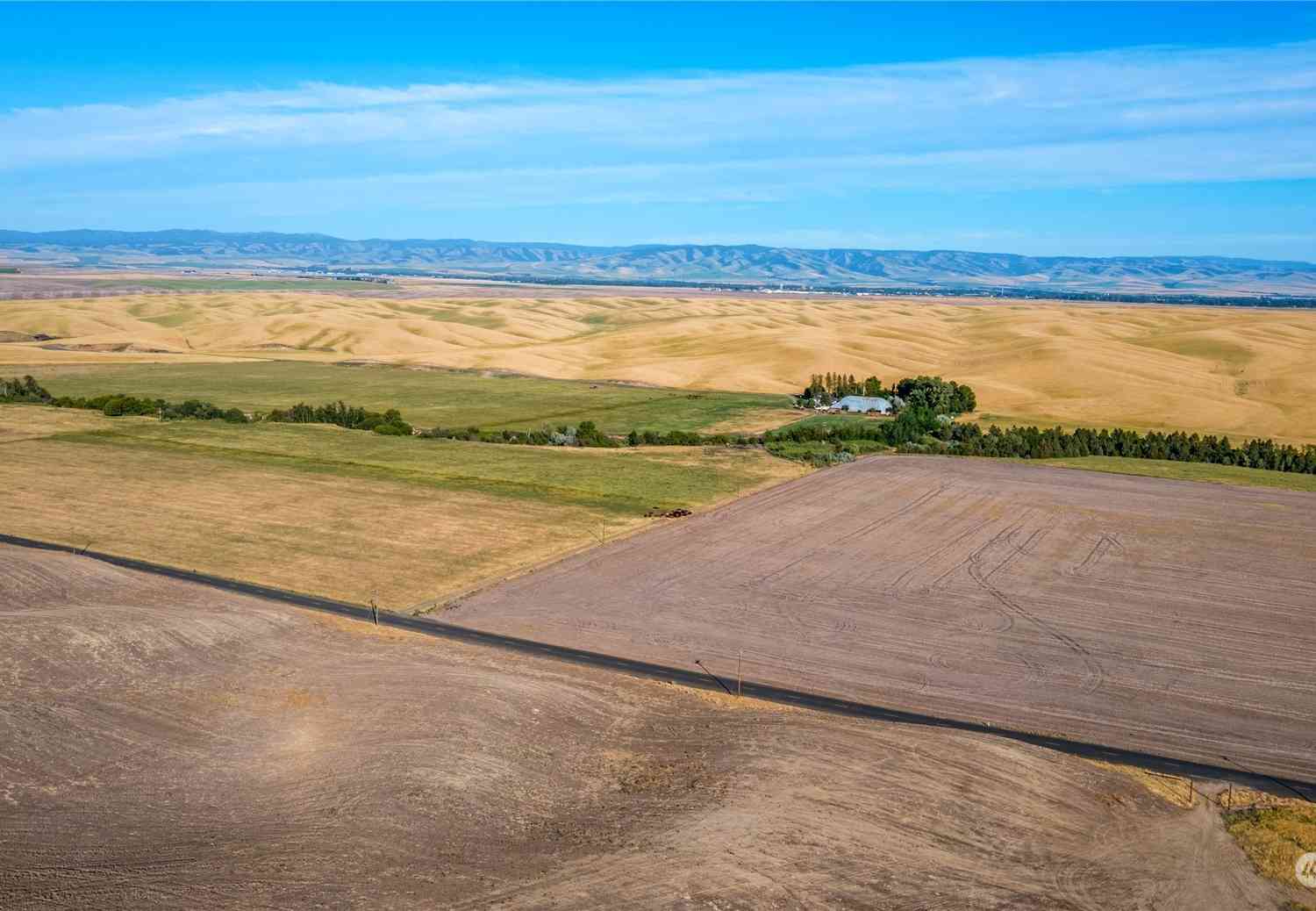 1 Lot Tbd Loney Road, Walla Walla, Washington image 3