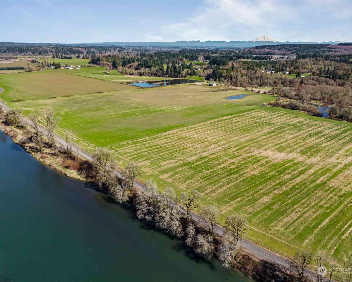 870 Imboden Road, Castle Rock, Washington image 9