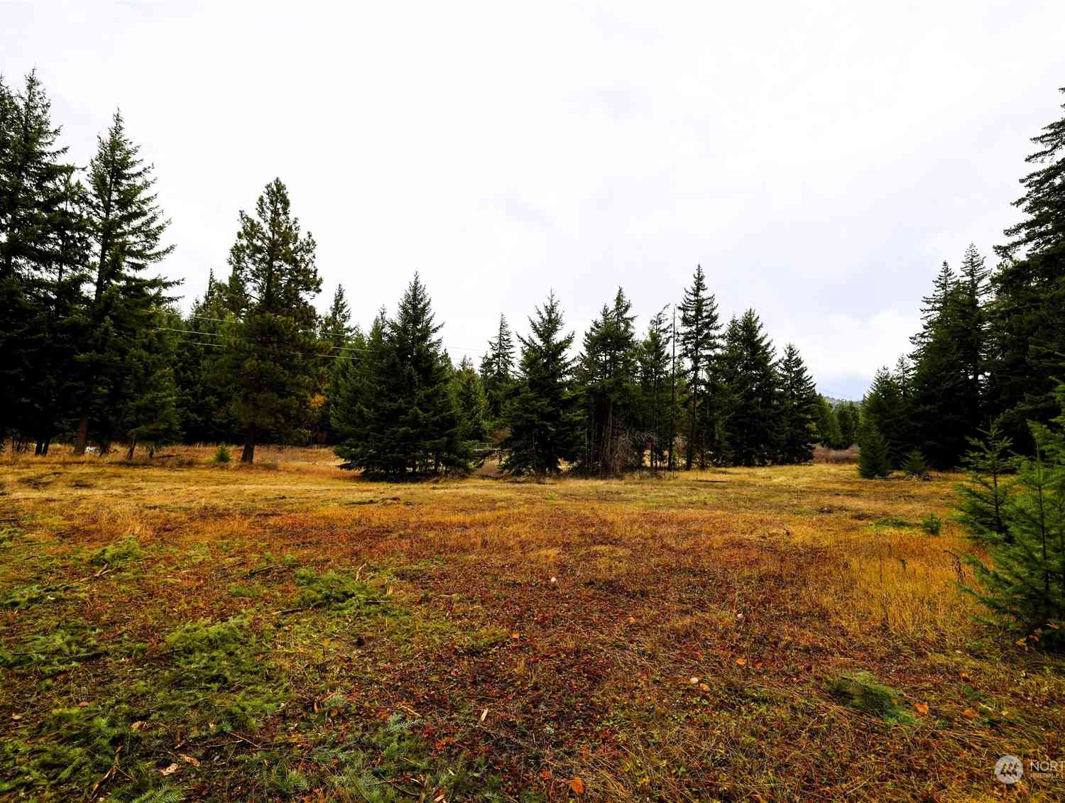 0 R Lot 4 Nelson View Way, Cle Elum, Washington image 4