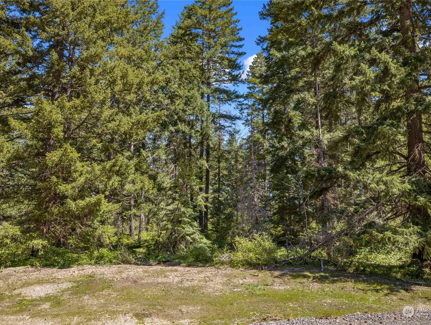 0 R Lot 4 Nelson View Way, Cle Elum, Washington image 13