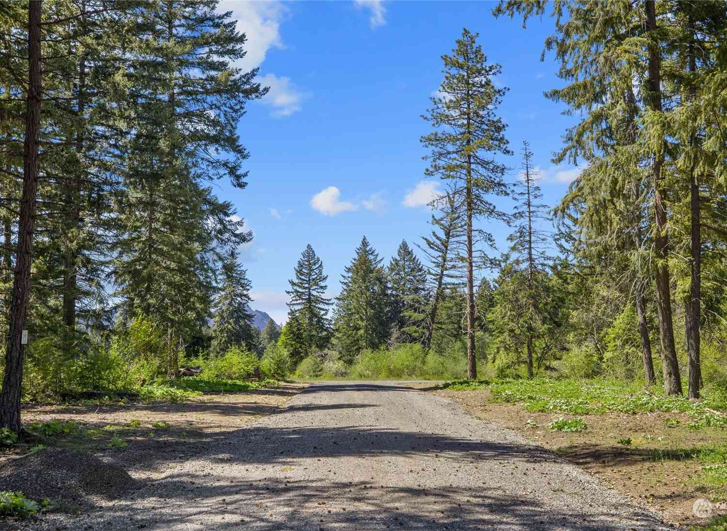 0 R Lot 4 Nelson View Way, Cle Elum, Washington image 9