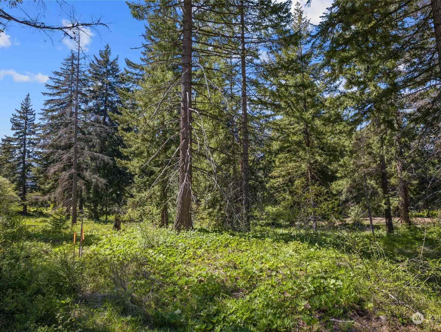 0 R Lot 4 Nelson View Way, Cle Elum, Washington image 12